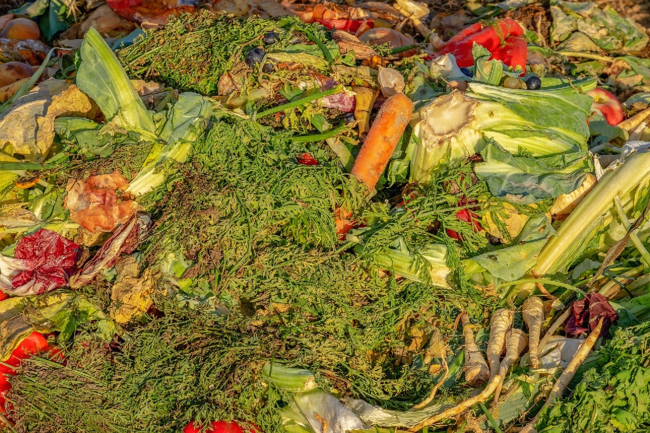 Aussortiertes Gemüse in einem Bioabfallsammelbehälter. Foto: Couleur (Pixabay 2020)
