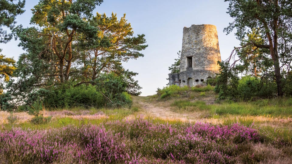 Der Albedyll-Turm in der Senne bei Bad Lippspringe