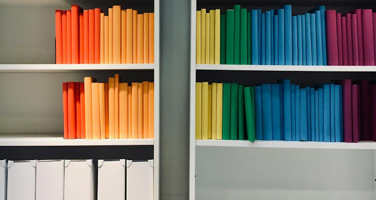 Symbolbild: Großes Bücherregal mit Ordnern und nach Farben sortierten Büchern. Umfangreiche Informationen finden Sie hier.