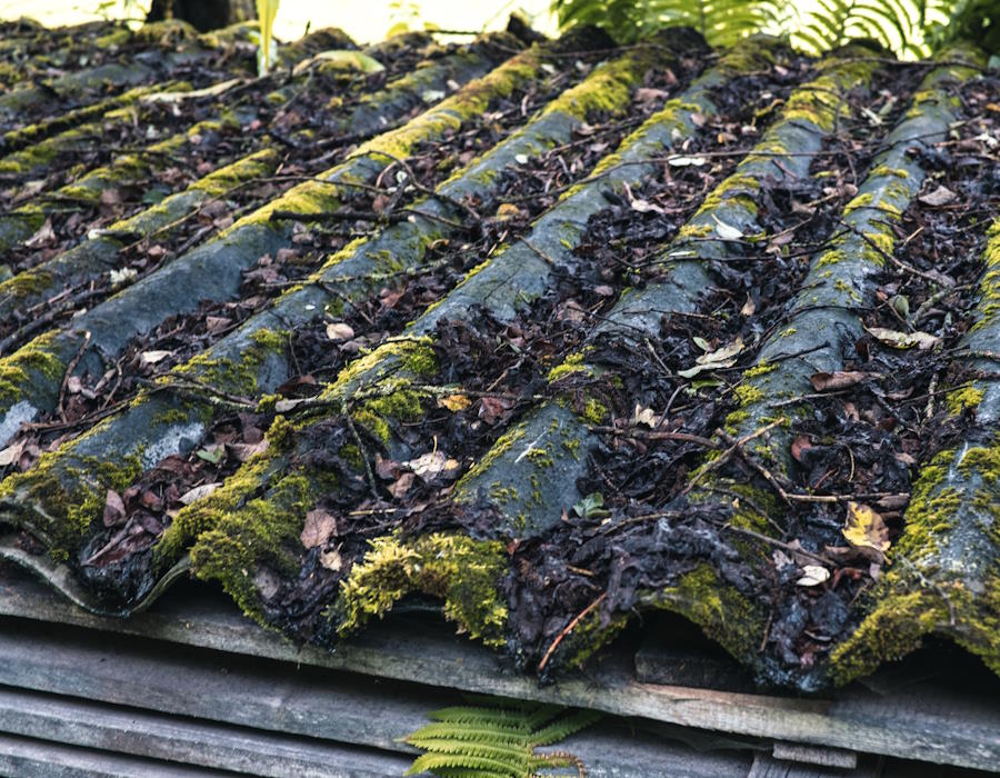 Symbolbild: Ein mit Moos bewachsenes Dach aus alten Faserzementplatten. Asbesthaltige Baustoffe wurden früher innerhalb und außerhalb von Gebäuden verwendet. Symbolbild: Ein mit Moos bewachsenes Dach aus alten Faserzementplatten. Asbesthaltige Baustoffe wurden früher innerhalb und außerhalb von Gebäuden verwendet.