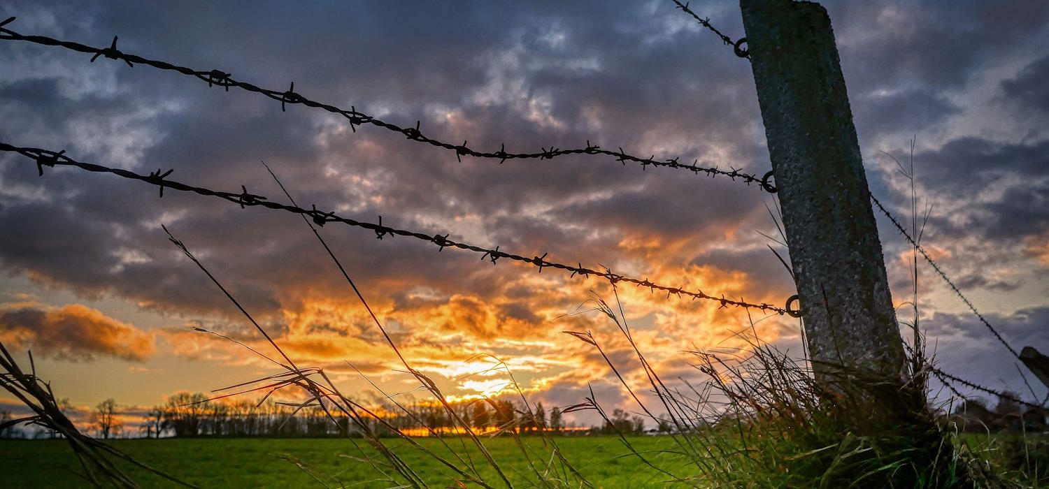 Symbolbild. Wiese mit Bäumen im Hintergrund. Am Horizont geht die Sonne unter. Die Wiese ist abgegrenzt durch mehrere Reihen Stacheldrahtzaun. Symbolbild. Wiese mit Bäumen im Hintergrund. Am Horizont geht die Sonne unter. Die Wiese ist abgegrenzt durch mehrere Reihen Stacheldrahtzaun.