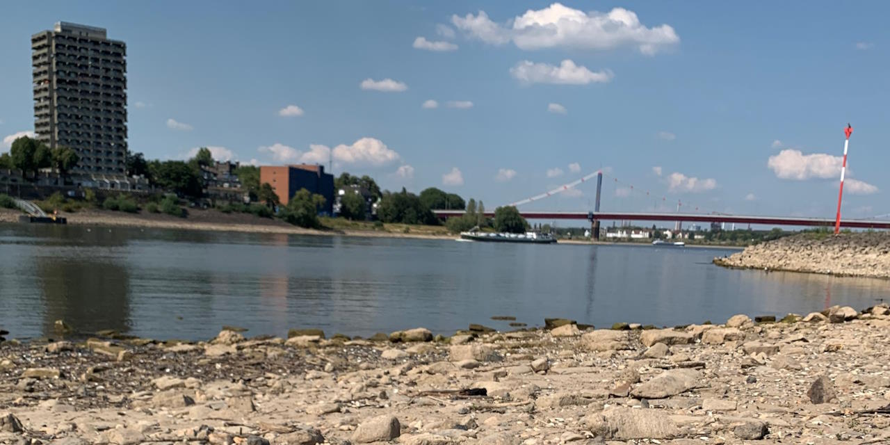 Niedrigwasser am Rhein bei Duisburg. Das Flussbett ist sehr schmal. Im Hintergrund sind Schiffe und eine Brücke zu erkennen.