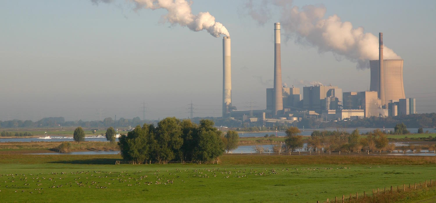 Vogeschutzgebiet Niederrhein. Wildgänse auf einer Wiese, im Hintergrund der Rhein und ein Kraftwerk Vogeschutzgebiet Niederrhein. Wildgänse auf einer Wiese, im Hintergrund der Rhein und ein Kraftwerk