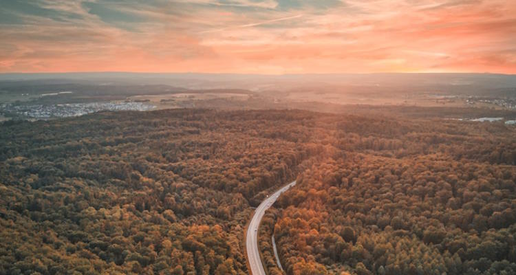 Symolbild: Luftbild einer großen Waldfläche. In der Mitte verläuft eine Straße. Im Hintergrund ist schemenhaft eine Siedlung zu sehen. Der Himmel wird vom Sonnenlicht rot gefärbt.